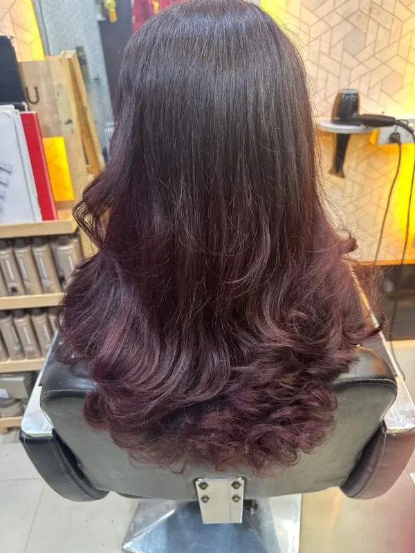 IMG-20241019-WA0020 Dignissim Sodales