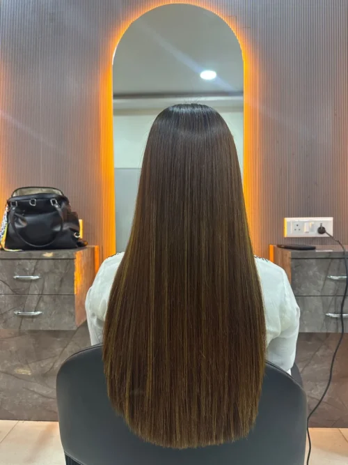 Tristique Sollicitudin