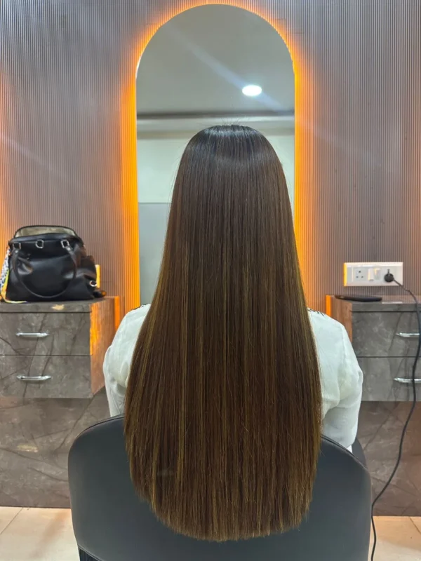 Tristique Sollicitudin